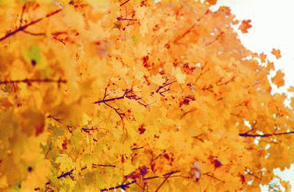 Herbstfarben