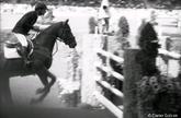 Sportfotografie: CHIO in Aachen